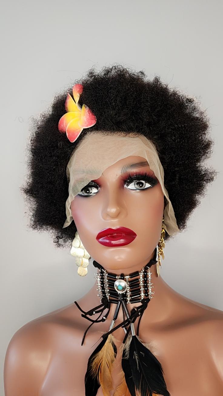 Afro Queen Lace Wig