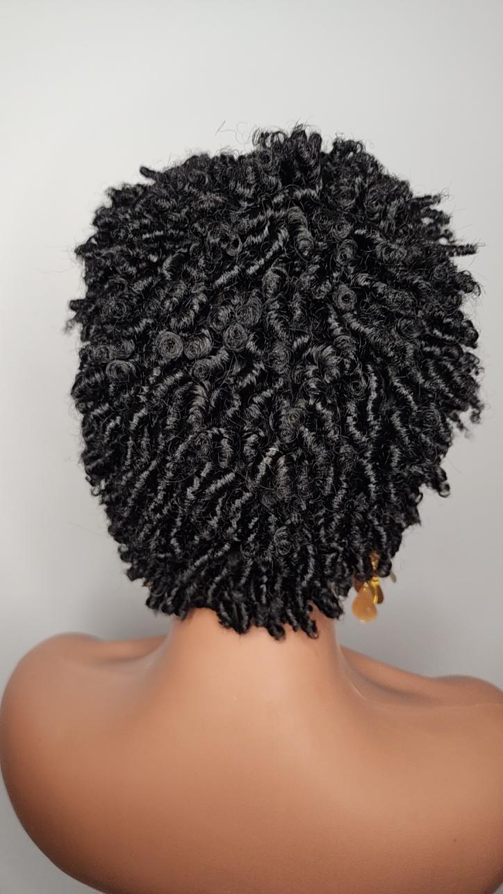 Coily Girl Lace Front Wig
