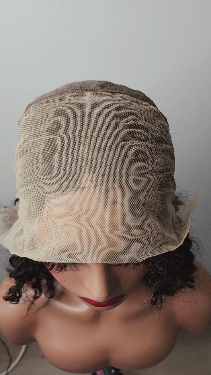 Curly Girl Lace Wig